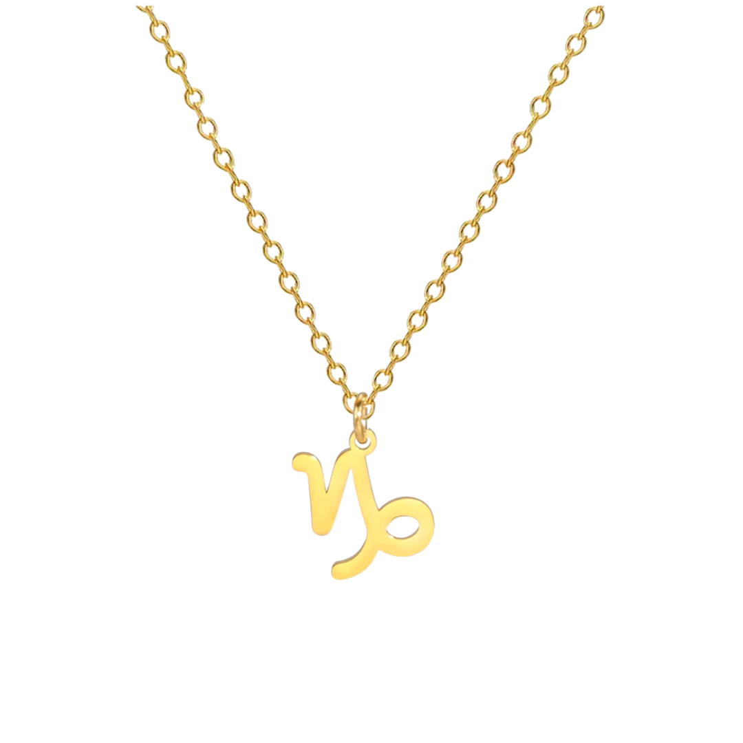 Ketting met Sterrenbeeld | 14k Verguld Goud