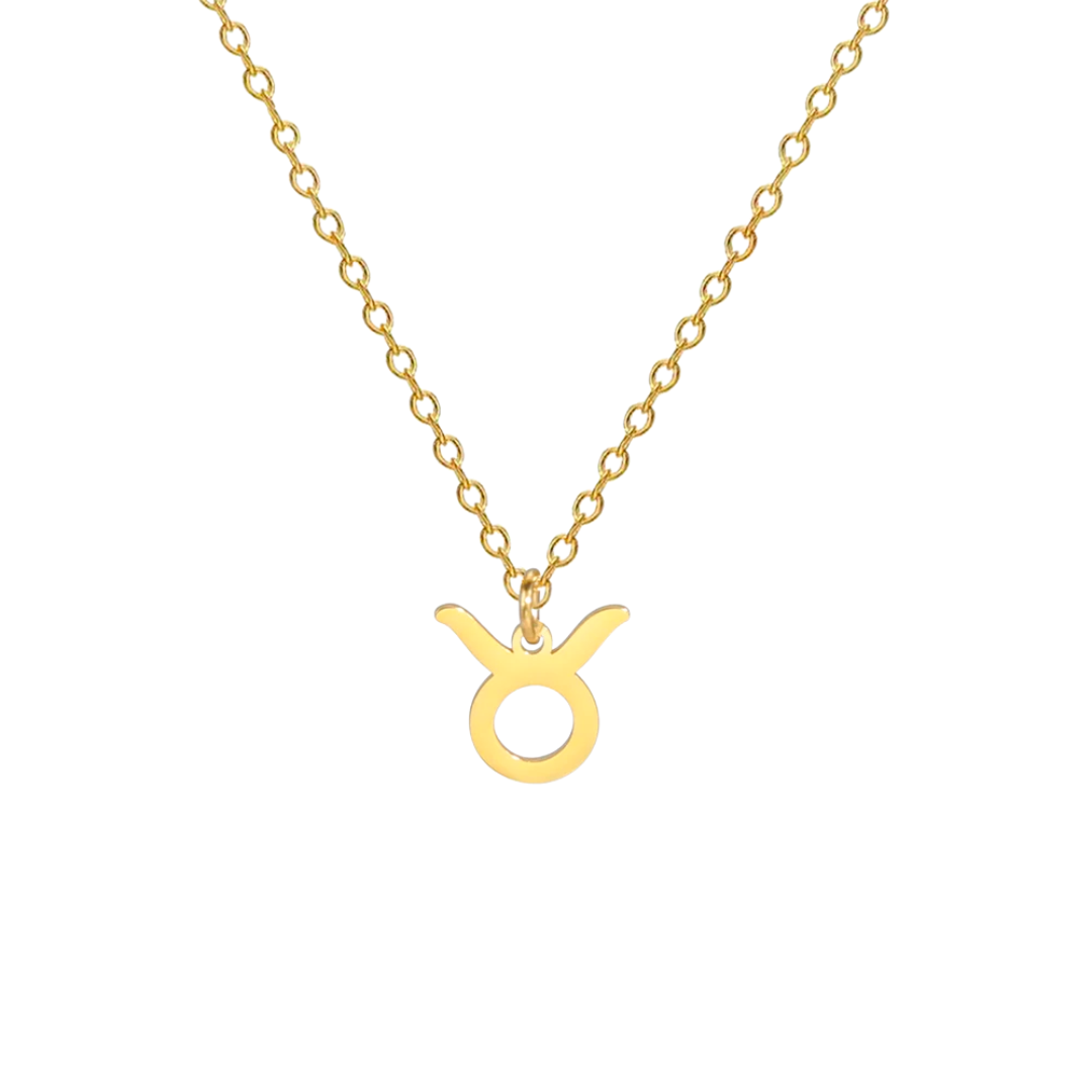 Ketting met Sterrenbeeld | 14k Verguld Goud