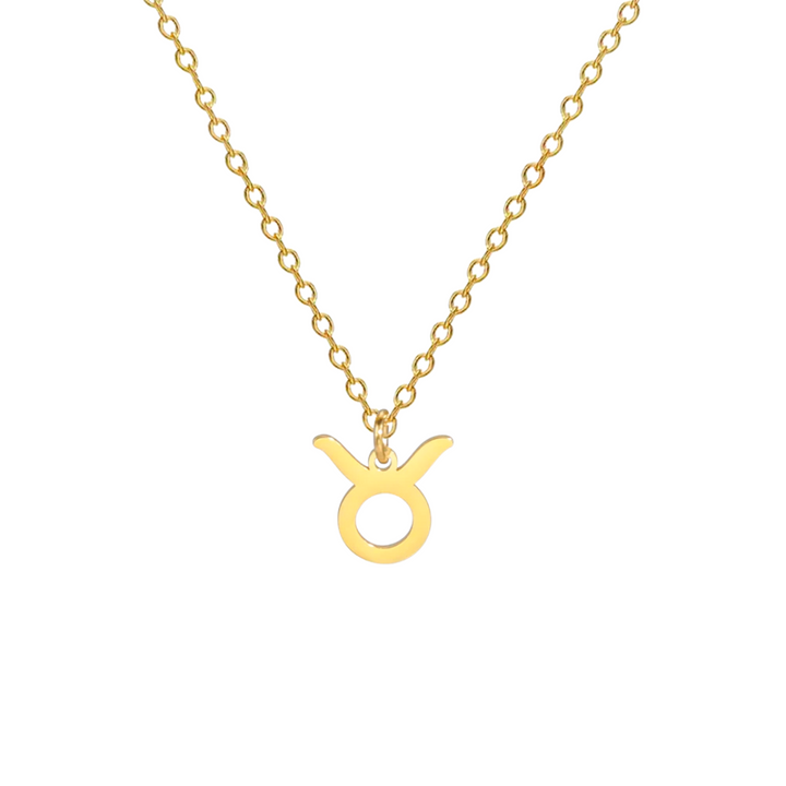 Ketting met Sterrenbeeld | 14k Verguld Goud